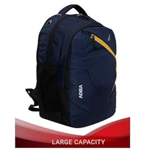 Laptop Backpack 31 Ltrs